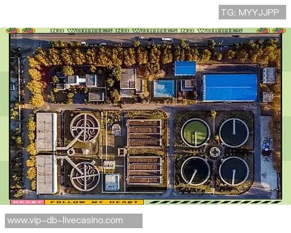 全球足球联赛全景解析从顶级联赛到地方联赛一网打尽 全球足球联赛全景解析从顶级联赛到地方联赛一网打尽