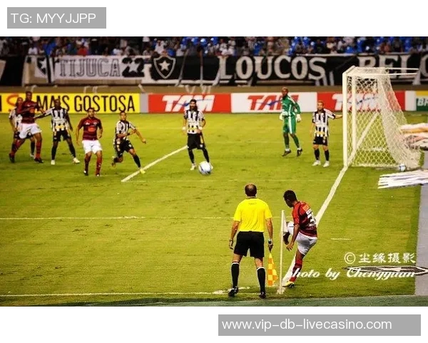 巴西足球文化的魅力与传承：激情团结与国家认同的交织