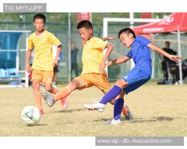 足球青训新模式探索培养未来足球明星的有效路径与实践